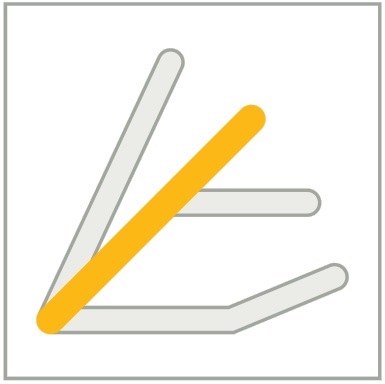 Participation